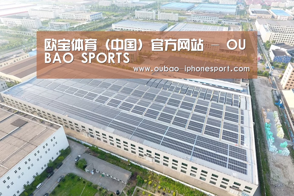 案例展示二