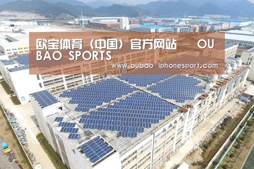 案例展示一