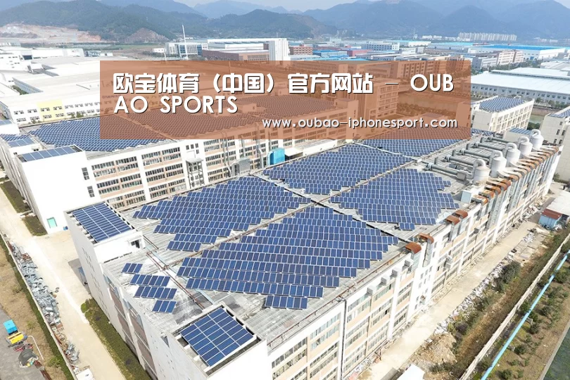 案例展示二