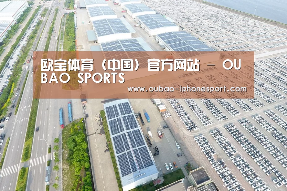 案例展示三