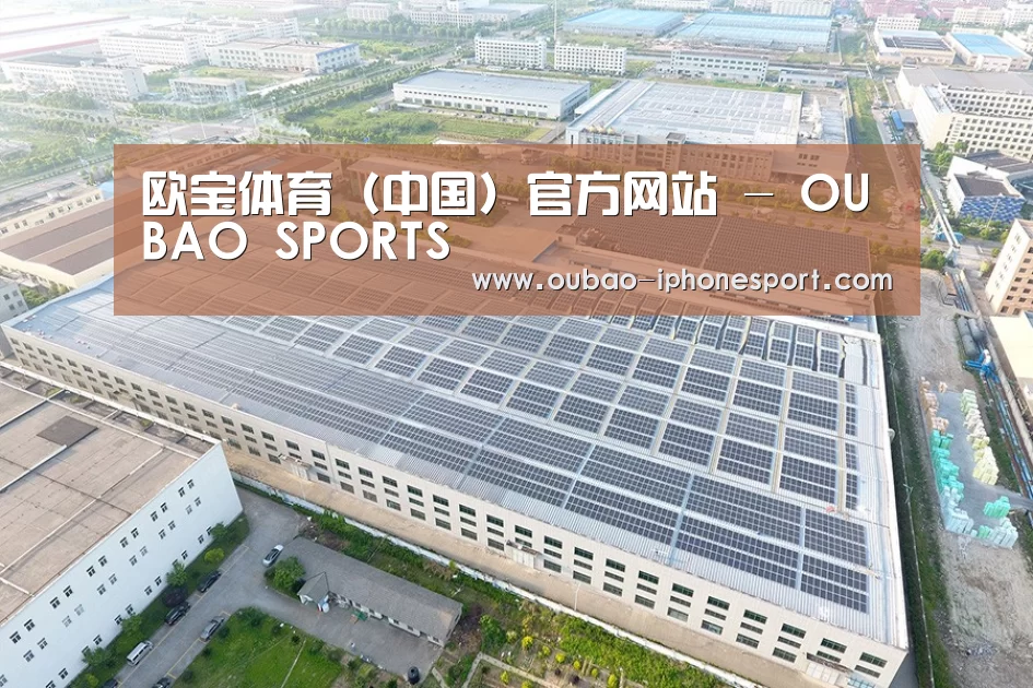 案例展示四